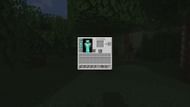 A player with an inventory they would not want to lose (Image via Mojang Studios)